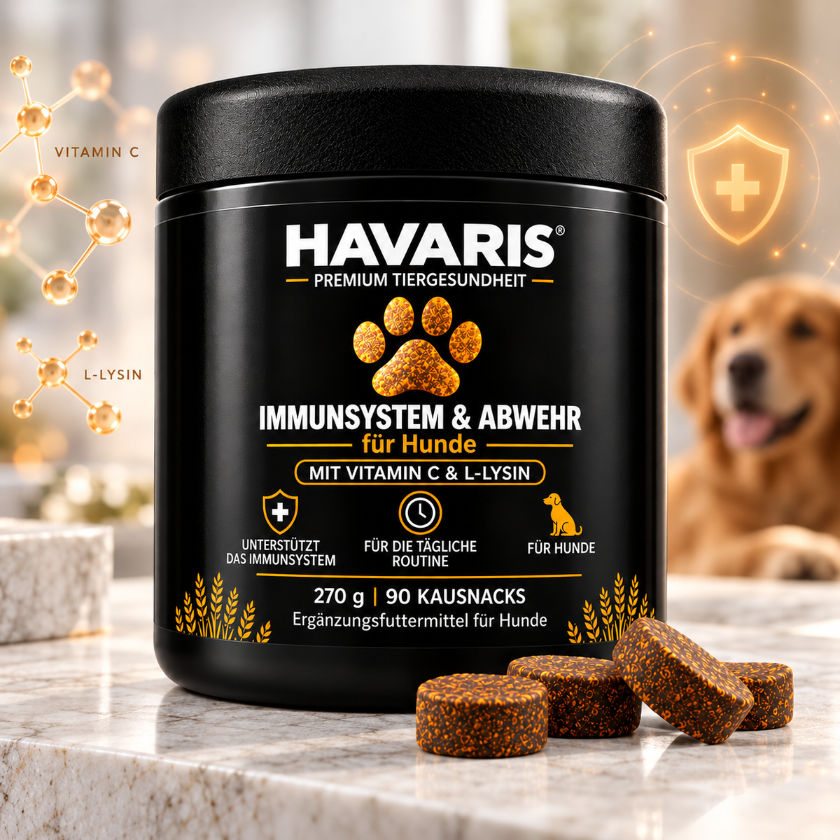 Gesunder aktiver Hund – Immunsystem und Abwehrkräfte beim Hund
